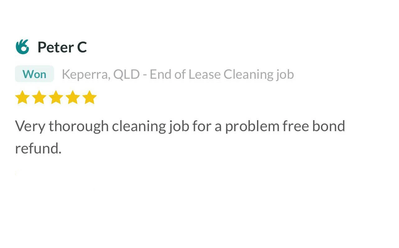 Review Cleaner on the go